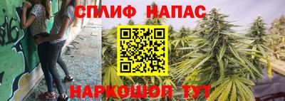 a pvp Пугачёв