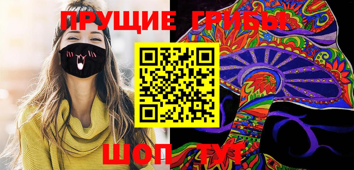 Новошахтинск  Псилоцибиновые грибы Psilocybine cubensis  Вход с VPN 
